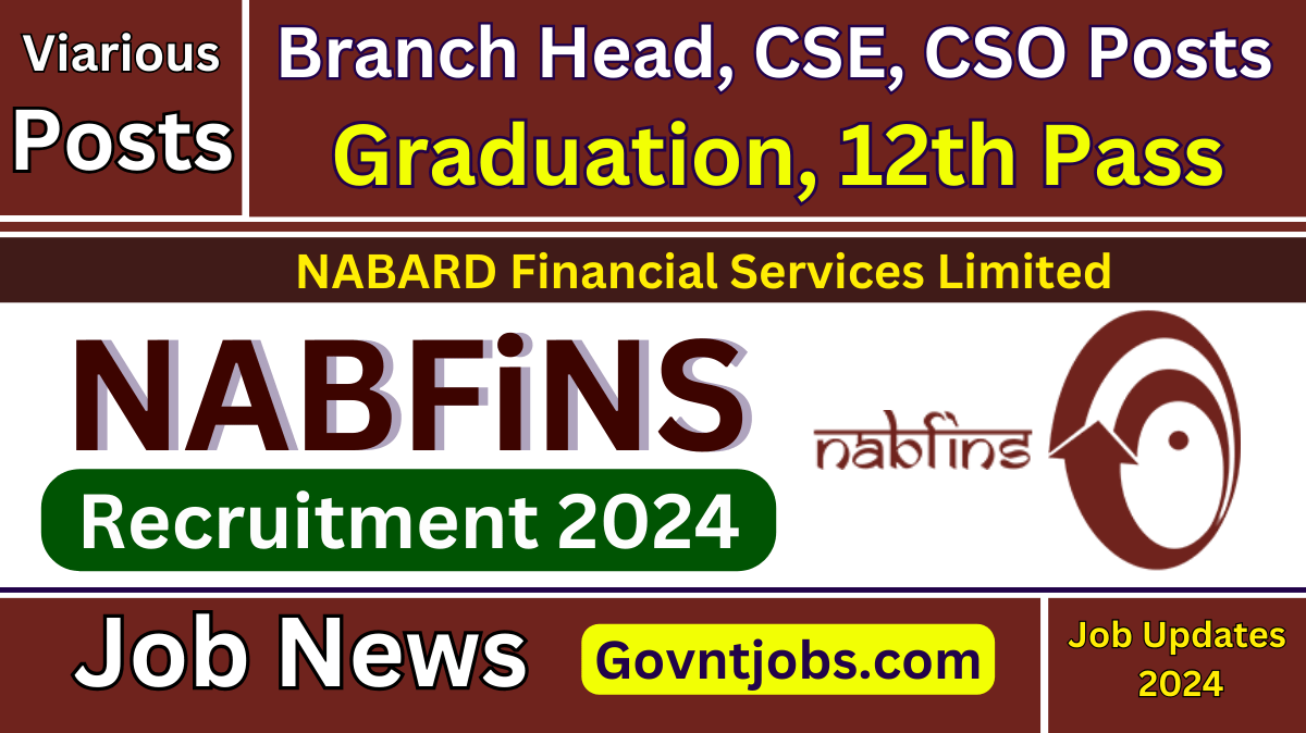 nabfins-recruitment-2024-apply-online-for-various-branch-head-cse